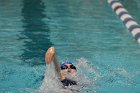 Swimming vs CGA  Wheaton College Swimming & Diving vs Coast Guard Academy. - Photo By: KEITH NORDSTROM : Wheaton, Swimming, diving